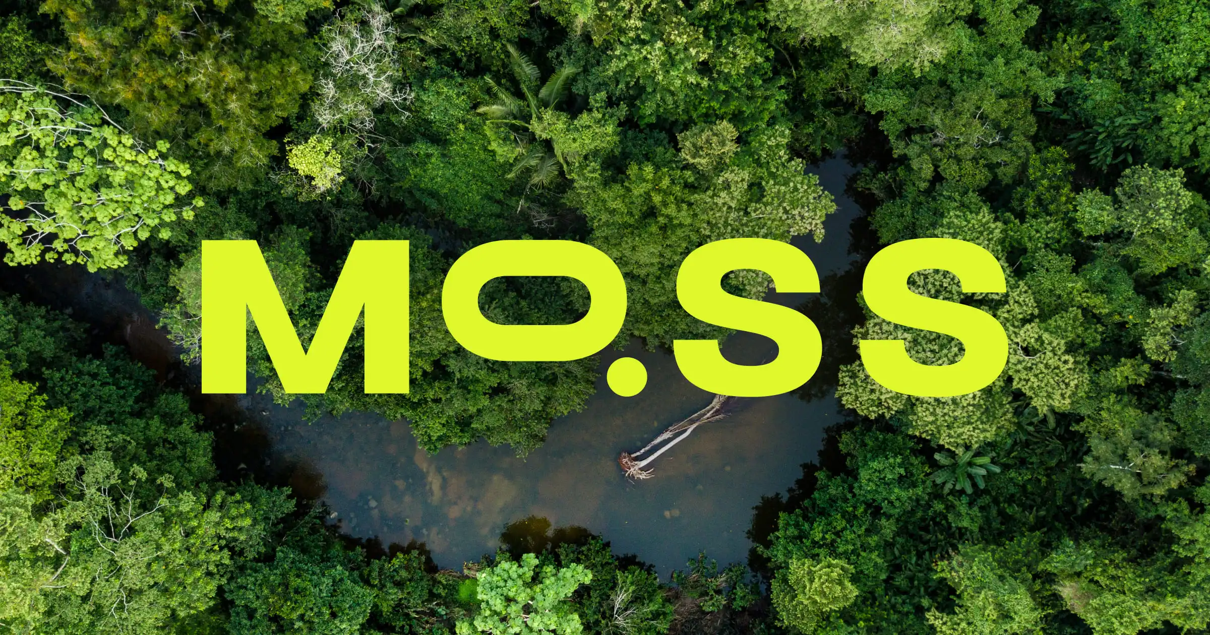 Moss (MCO2) 是創建了第一個碳信用虛擬貨幣的巴西區塊鏈新創公司，最近在加密貨幣交易所 Coinbase 上市